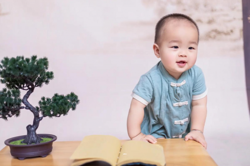 武汉供卵包生男孩可爱的企鹅宝宝